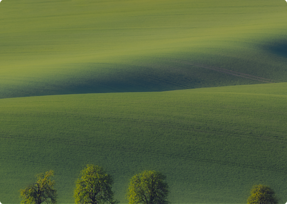 明升mansion88(中国游)最新官方网站